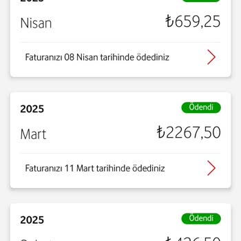 Vodafone Hattımda Cihaz Puanı Tanımlanmıyor, Bilgi Ve Çözüm Bekliyorum