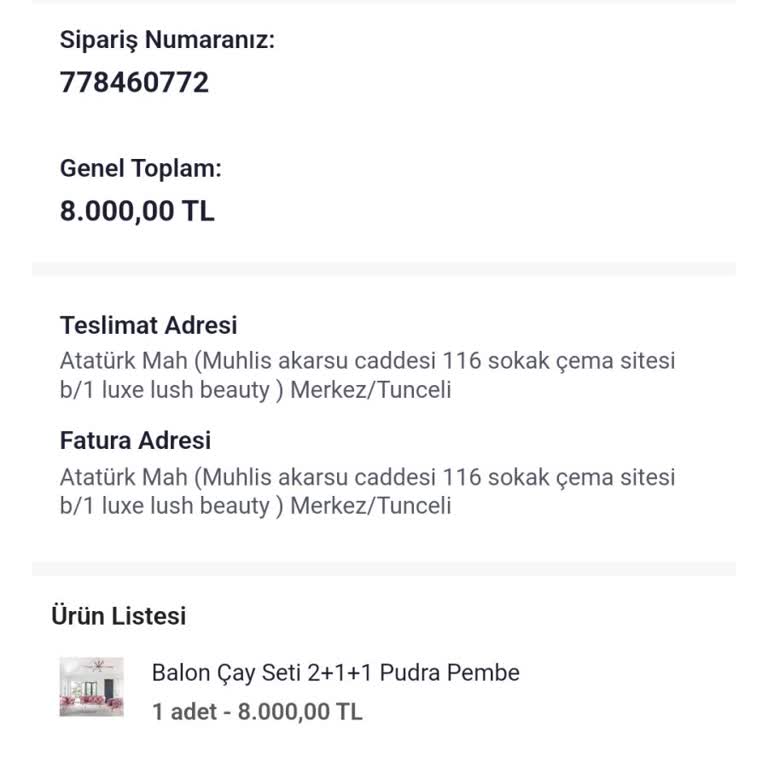 Bir Aydır Teslim Edilmeyen Koltuk, Ulaşılmaz Müşteri Hizmetleri