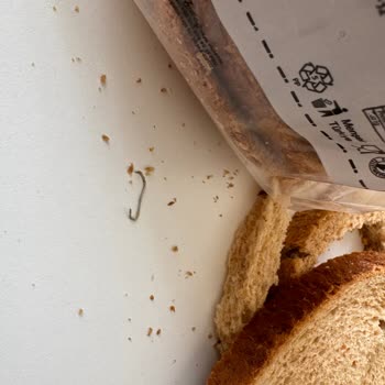 Başak Gıda Ekmecik Köy Ekmeğinden Zımba Çıktı!