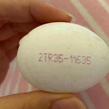 Yumurta Etiketinde Yanıltıcı Bilgiyle Karşılaştım