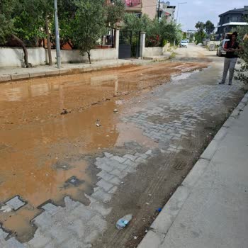 Gölcükler Mahallesinde Yol Sorunu ve Çözüm Beklentisi