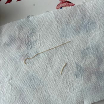 Organik Tavukta Kurtçuk Şoku Firma Ulaşılmıyor