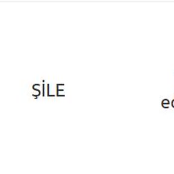 Ürünler Yurtiçi Kargo Tarafından Şile'nin Bir Mahallesindeki Adresimize Teslim Edilmiyor
