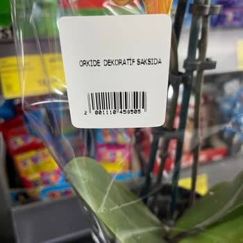 BİM Mağazasında Orkide Fiyatındaki Ani Değişiklik Ve İlgisizlik