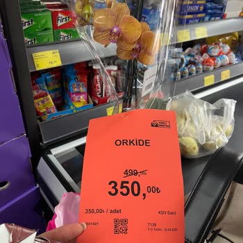 BİM Mağazasında Orkide Fiyatındaki Ani Değişiklik Ve İlgisizlik