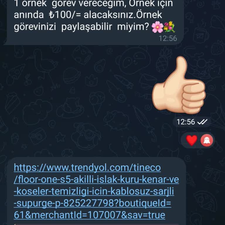 Telegram Üzerinden Görev Vaadiyle Kişisel Bilgi Paylaşımı Ve Endişe