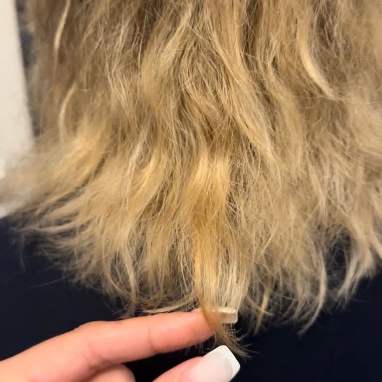 Hayal Kırıklığı Yaratan Kuaför Deneyimi: Yetersiz Hizmet, Yüksek Fiyat