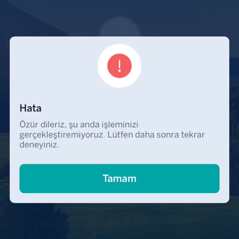 Mobil Uygulamaya Giriş Sorunu Ve Hesaba Erişim Problemi