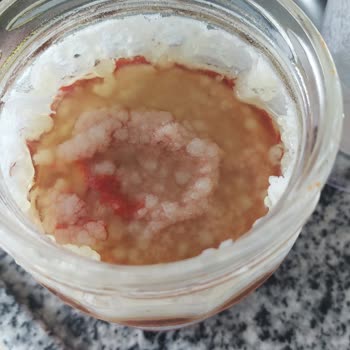 Tat Gıda Yeni Açılan Salça 2 Günde Küflendi!