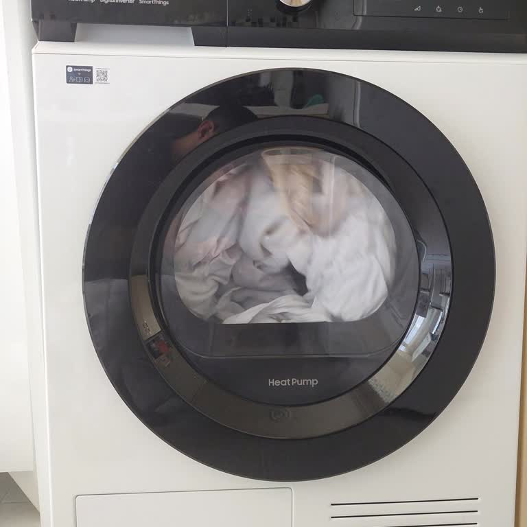 I Get Loud Noise from My 1-Year Samsung Dryer