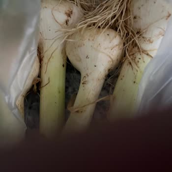 Migros Sanal Market'ten Gelen Bozuk Sebzeler Ve İade Sorunu