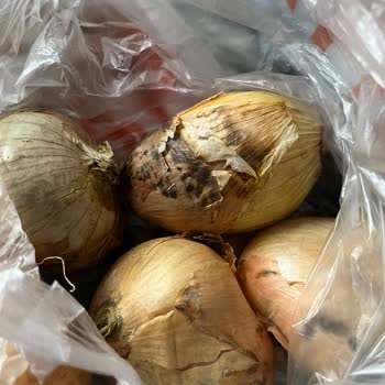 Migros Sanal Market'ten Gelen Bozuk Sebzeler Ve İade Sorunu