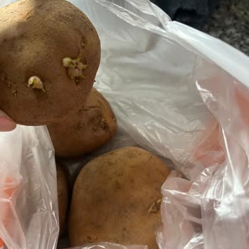 Migros Sanal Market'ten Gelen Bozuk Sebzeler Ve İade Sorunu