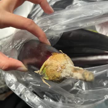 Migros Sanal Market'ten Gelen Bozuk Sebzeler Ve İade Sorunu