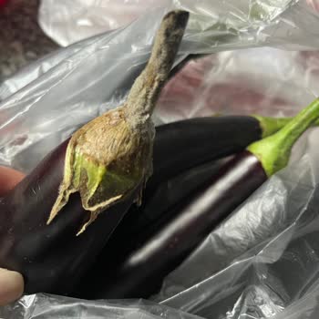 Migros Sanal Market'ten Gelen Bozuk Sebzeler Ve İade Sorunu