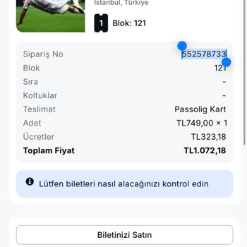 Viagogo Ticket für Beşiktaş - Athletic Bilbao nicht auf Passolig-Konto übertragen