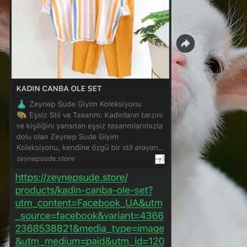 Beklentileri Karşılamayan Ürün Ve İletişim Sorunu