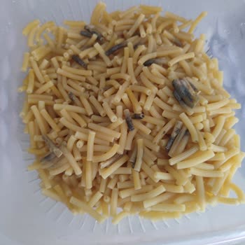 Açılan Makarnada Küf Çıkması Nedeniyle Sağlık Riski Ve Mağduriyet