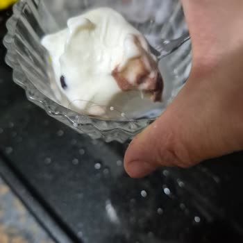 Dondurmadan Çıkan Kıl Karşısında Yaşadığım Hijyen Şoku