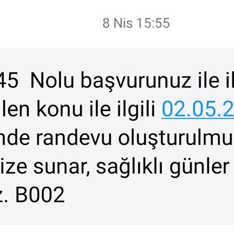 Güngören Belediyesi'nin Sokak Hayvanlarına İlgisizliği Ve Geciken Kısırlaştırma Hizmeti