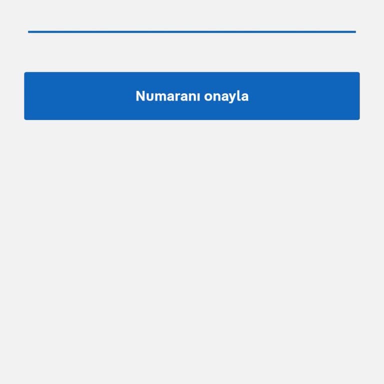Yeni Numaramla Hesabımı Kullanamıyorum, Yardım Bekliyorum