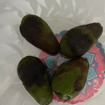 Trendyol RO-ZA Adlı Satıcıdan Şikayetçiyim