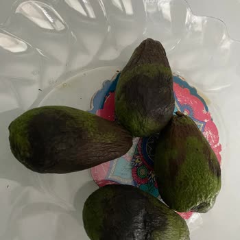 Trendyol RO-ZA Adlı Satıcıdan Şikayetçiyim