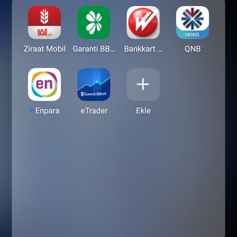 Banka Ve Trader Uygulamasına Giriş Sorunu Nedeniyle Maddi Zarar