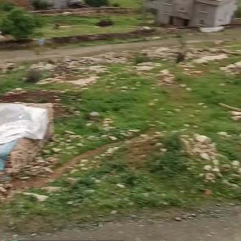 Dicle Elektrik Dağıtım Elektrik Direği Devrilmesi