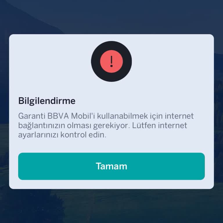 Hesaba Erişim Sorunu Ve Yetersiz Müşteri Hizmeti