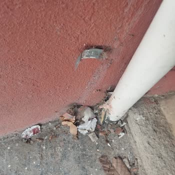 Yol Çalışmasında Kırılan İnternet Kutusu Hâlâ Onarılmadı