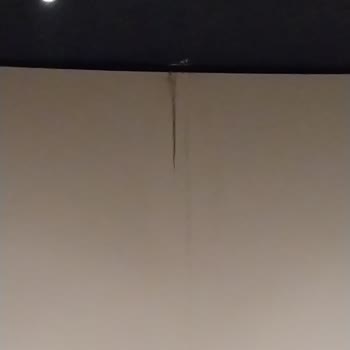 Sinemada Perdenin Ortasındaki Leke İzleme Keyfini Bozdu