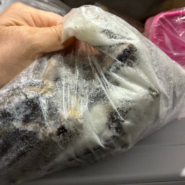 Yeni Alınan Siemens Buzdolabında Karlanma Ve Servis Sorunu