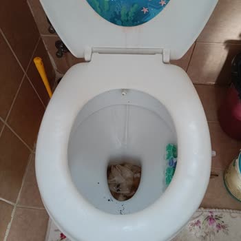 Bodrum Turgutreis'te 10 Gündür Süren Su Kesintisi Hayatı Durma Noktasına Getirdi