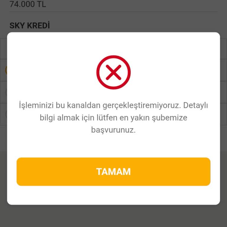 Sky Limitim Olmasına Rağmen Kredi Başvurusu İçin Şubeye Gitmek Zorunda Kaldım