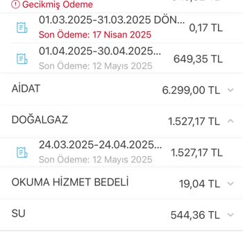 Kullanmadığım Doğal Gaz İçin Yüksek Fatura Ve Haksız Faturalandırma