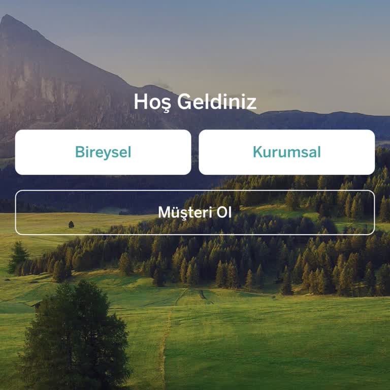Garanti BBVA İnternet Şubesine Erişim Sorunu Ve Destek Eksikliği