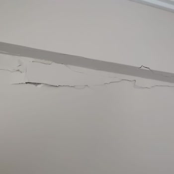 Galata Eksperlik Tarafından Mağdur Edildim!