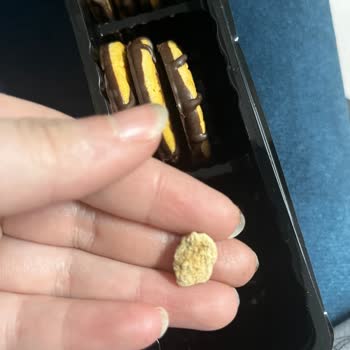 Kurabiyeden Çıkan Taş Parçası Şok Etti