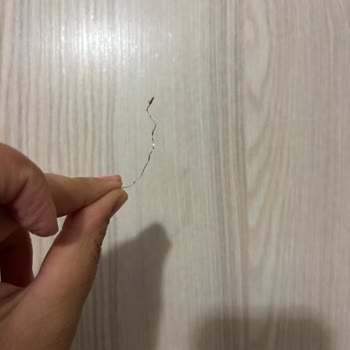Dürümle Soslu Tavuk Dürümde Tel Parçası Şoku!