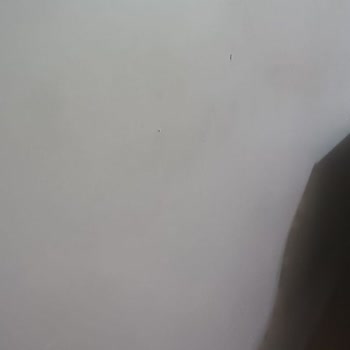 Airbnb'de Türkçe Destek Eksikliği Ve Kirli Ev Sorunu