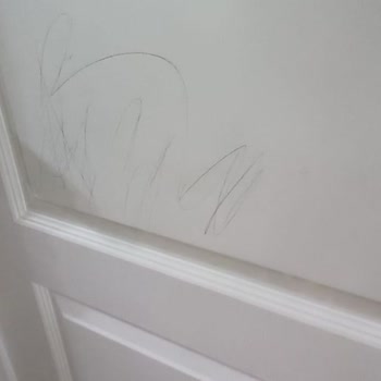 Airbnb'de Türkçe Destek Eksikliği Ve Kirli Ev Sorunu