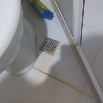 Airbnb'de Türkçe Destek Eksikliği Ve Kirli Ev Sorunu