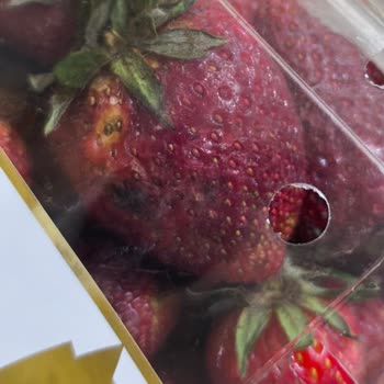 Getir'den Aldığım Çilekler Çürük Çıktı, İade Süreci Hayal Kırıklığı Yarattı