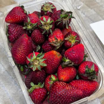 Getir'den Aldığım Çilekler Çürük Çıktı, İade Süreci Hayal Kırıklığı Yarattı