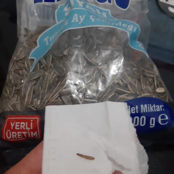 Aldığım Ay Çekirdeğinden Kurt Çıktı Sağlığımız Tehlikede