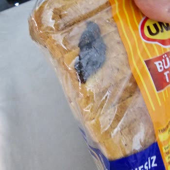 Tost Ekmeğinde Yabancı Madde Ve Müşteri Hizmetlerine Ulaşamama