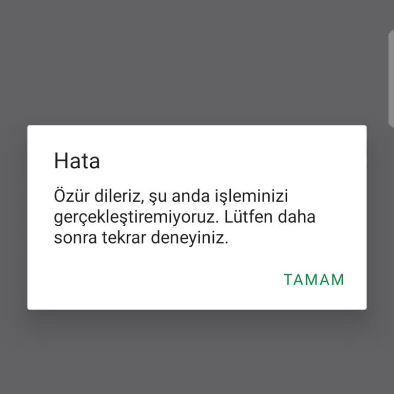 Hesabımda İzinsiz İşlemler Ve Giriş Sorunu Yaşadım