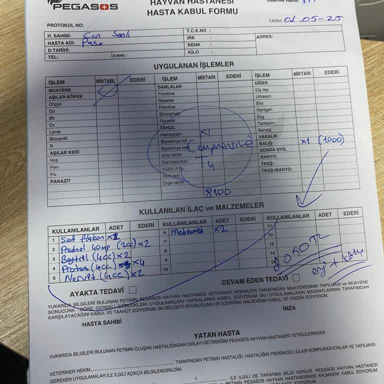 Bir Gece İçin Köpeğime 16000 Lira Ücret Talep Edildi