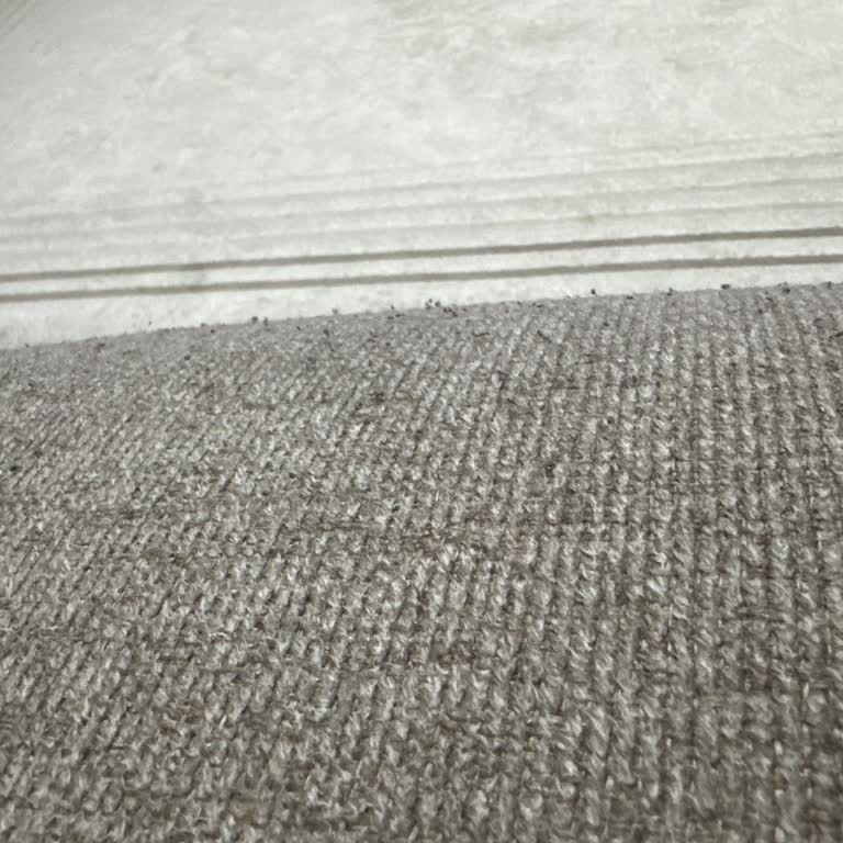 İstikbal Mitra Koltuklarda Kumaş Tiftiklenmesi Ve Değişim Talebi